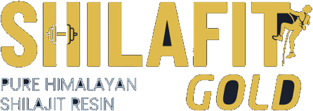 ShilaFit Gold - Pure Himalayan Shilajit Resin